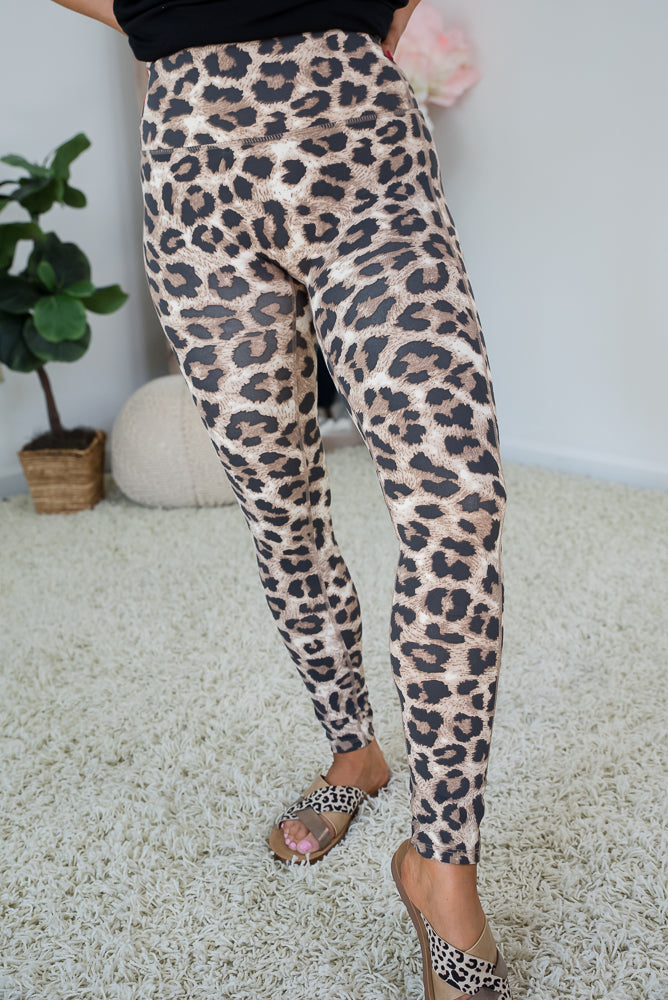 Wilder Days Leggings in Brown